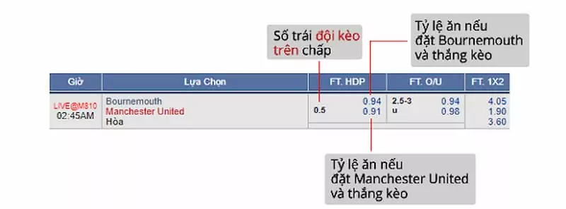 Lưu ý khi lựa chọn cược theo số đông